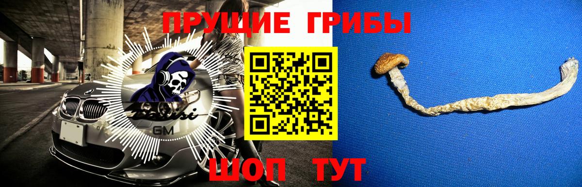 Псилоцибиновые грибы Magic Shrooms  Вход с VPN  Белебей  Псилоцибиновые грибы Psilocybe 